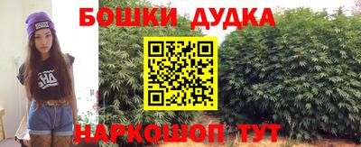 прущие грибы Можга