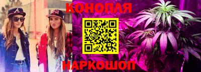 гашик Новоалтайск