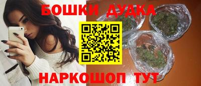 прущие грибы Можга